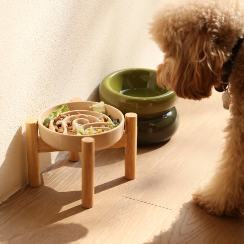 Why Your Dog Needs a Slow Feeder Bowl (A Message From Gato Feo)