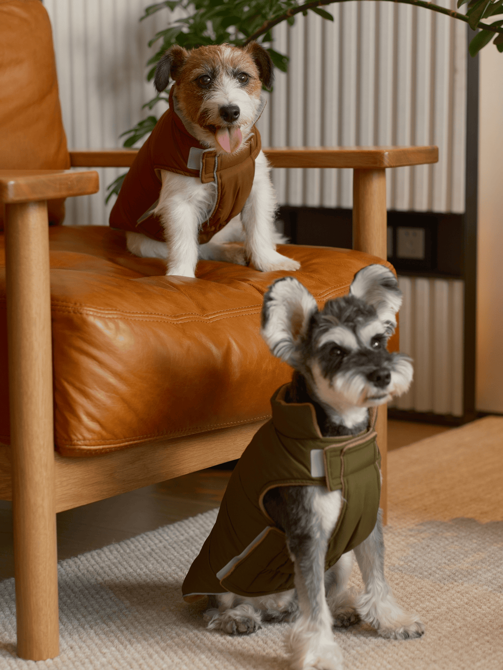 Wende-Hundeweste - Grünbraun