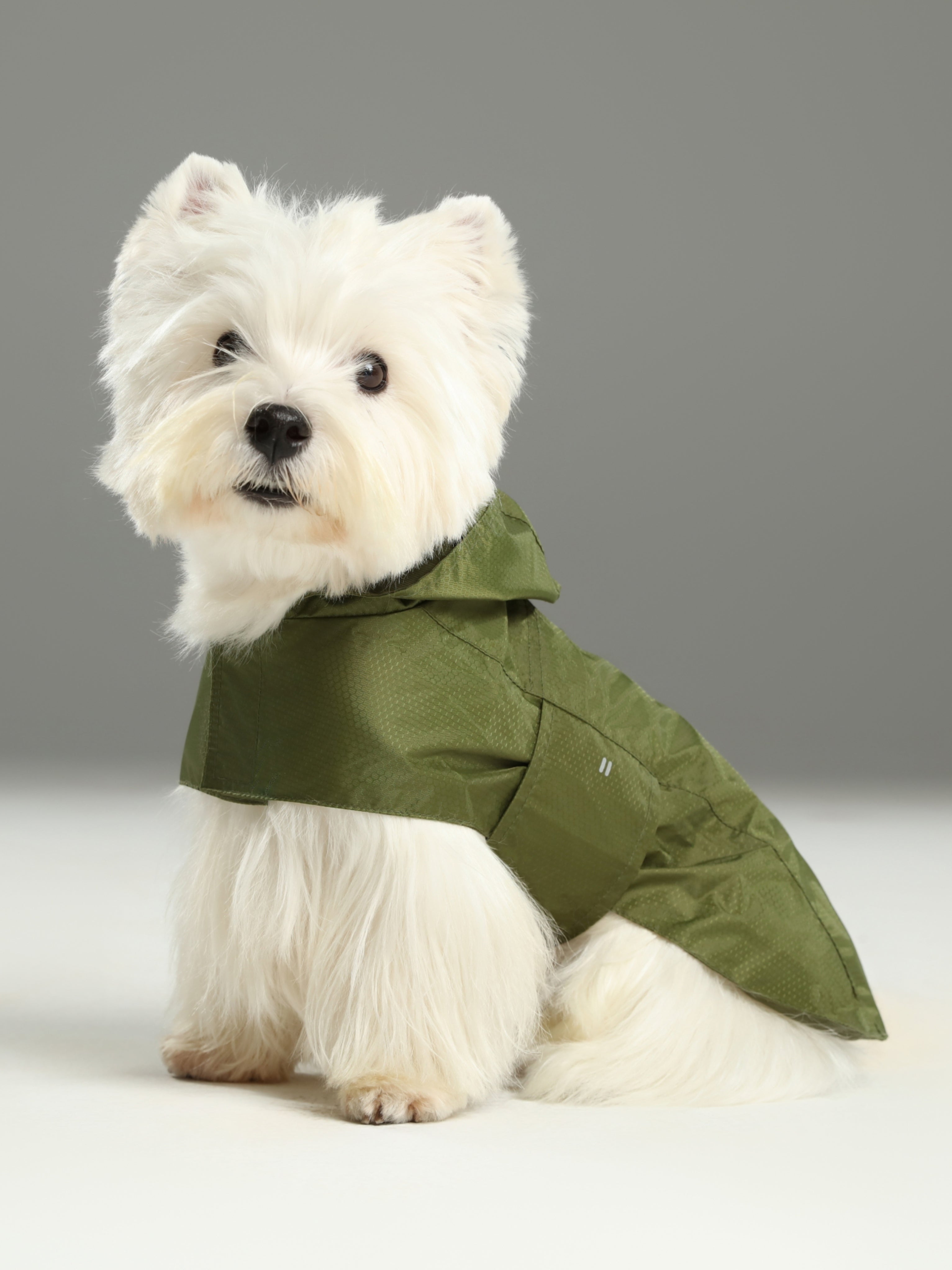 Capsule Raincoat - Green