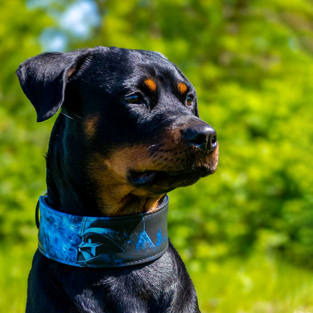 The Darth Force Limited Collar.