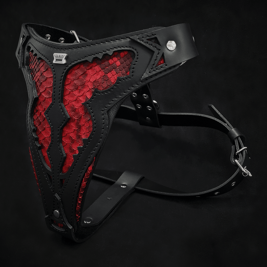 The ''Red Dragon'' Dog harness