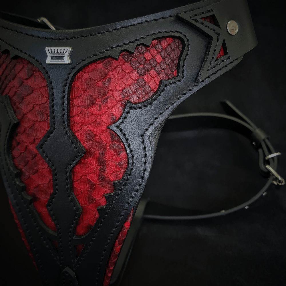 The ''Red Dragon'' Dog harness