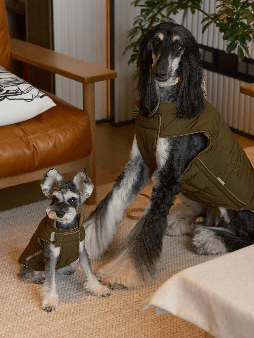 Wende-Hundeweste - Grünbraun
