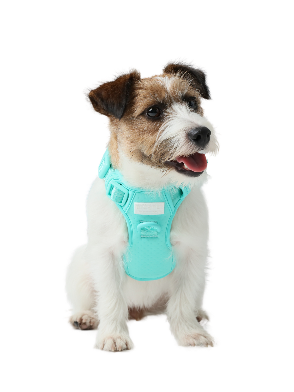 NO PULL ACTIVE  PET HARNESS - MINT GREEN.