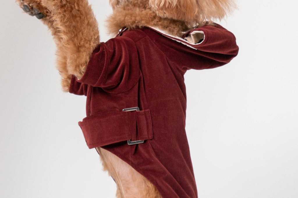 HUSTON HOODIE - DUNKELBORDEAUX