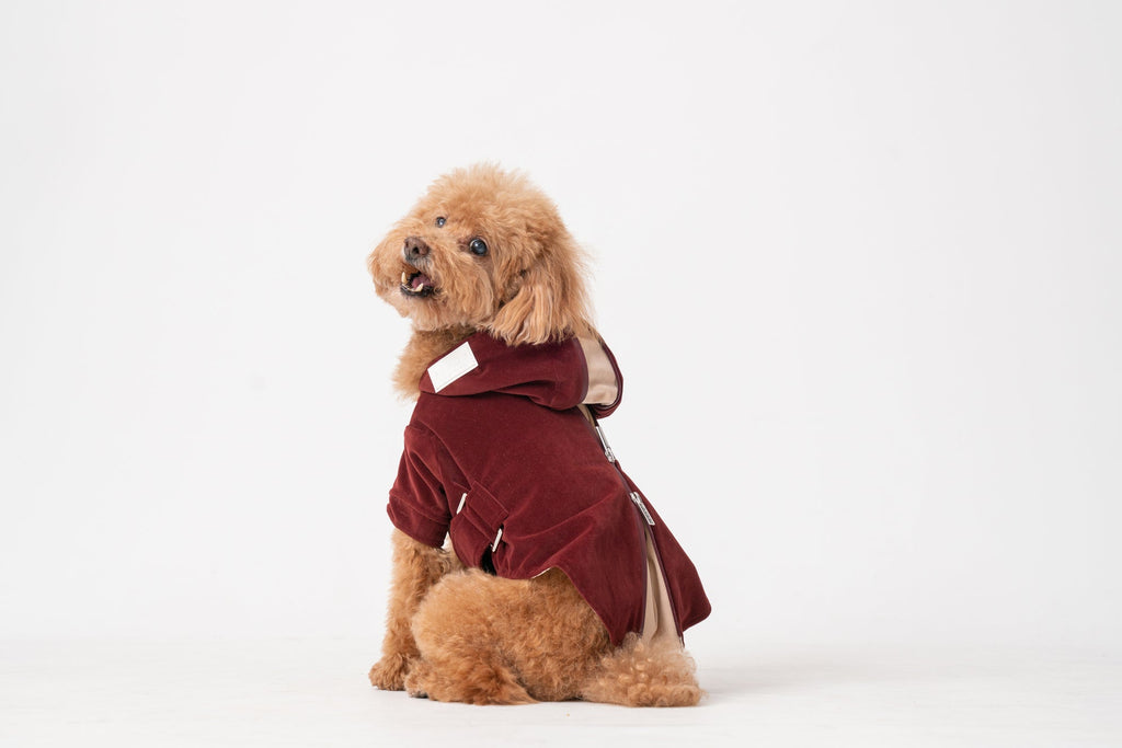 HUSTON HOODIE - DUNKELBORDEAUX