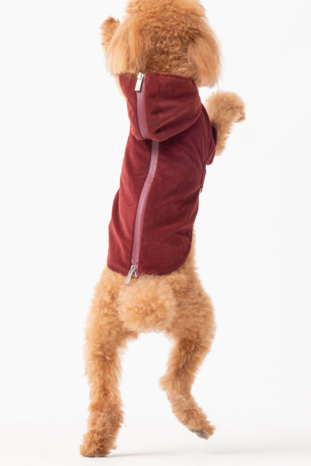 HUSTON HOODIE - DUNKELBORDEAUX