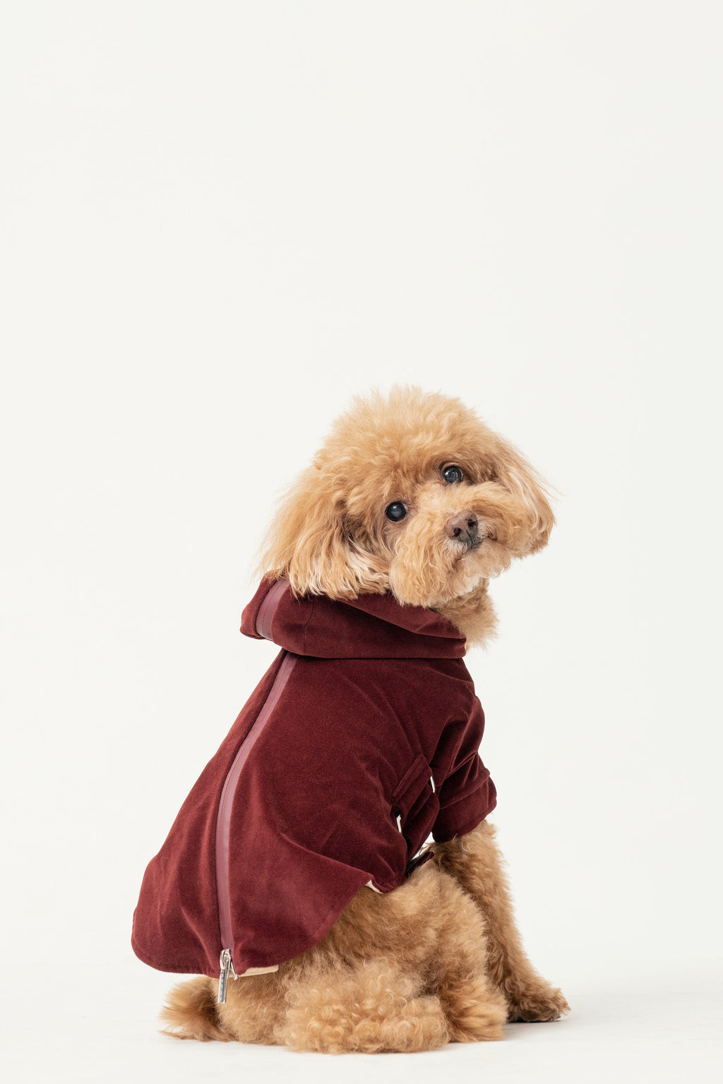 HUSTON HOODIE - DUNKELBORDEAUX