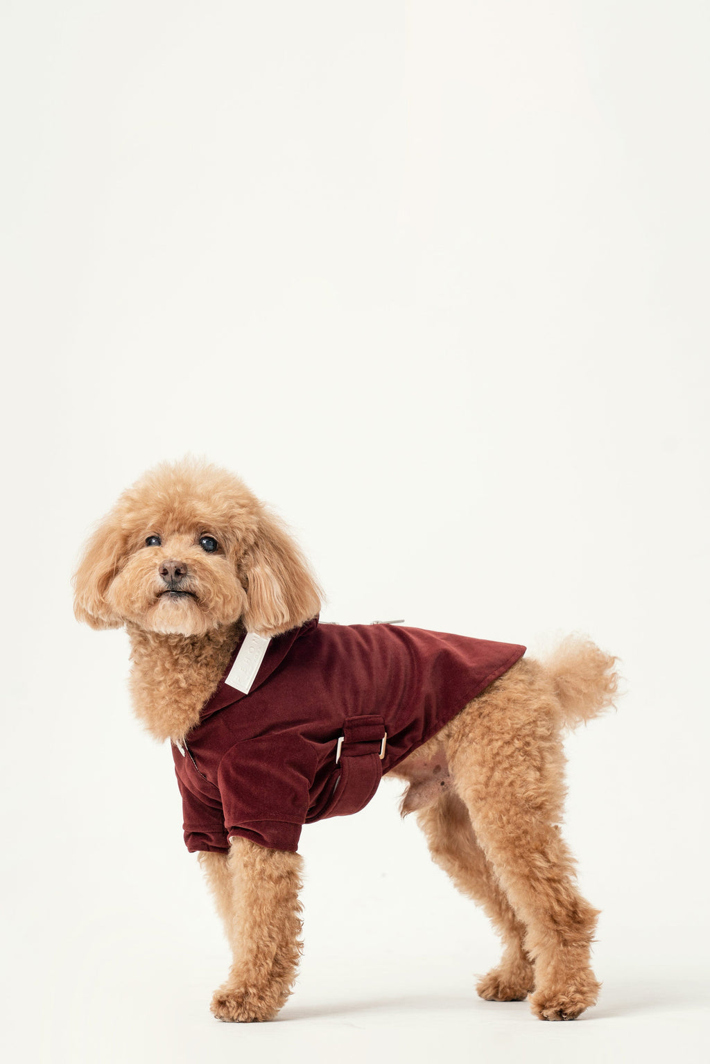 HUSTON HOODIE - DUNKELBORDEAUX