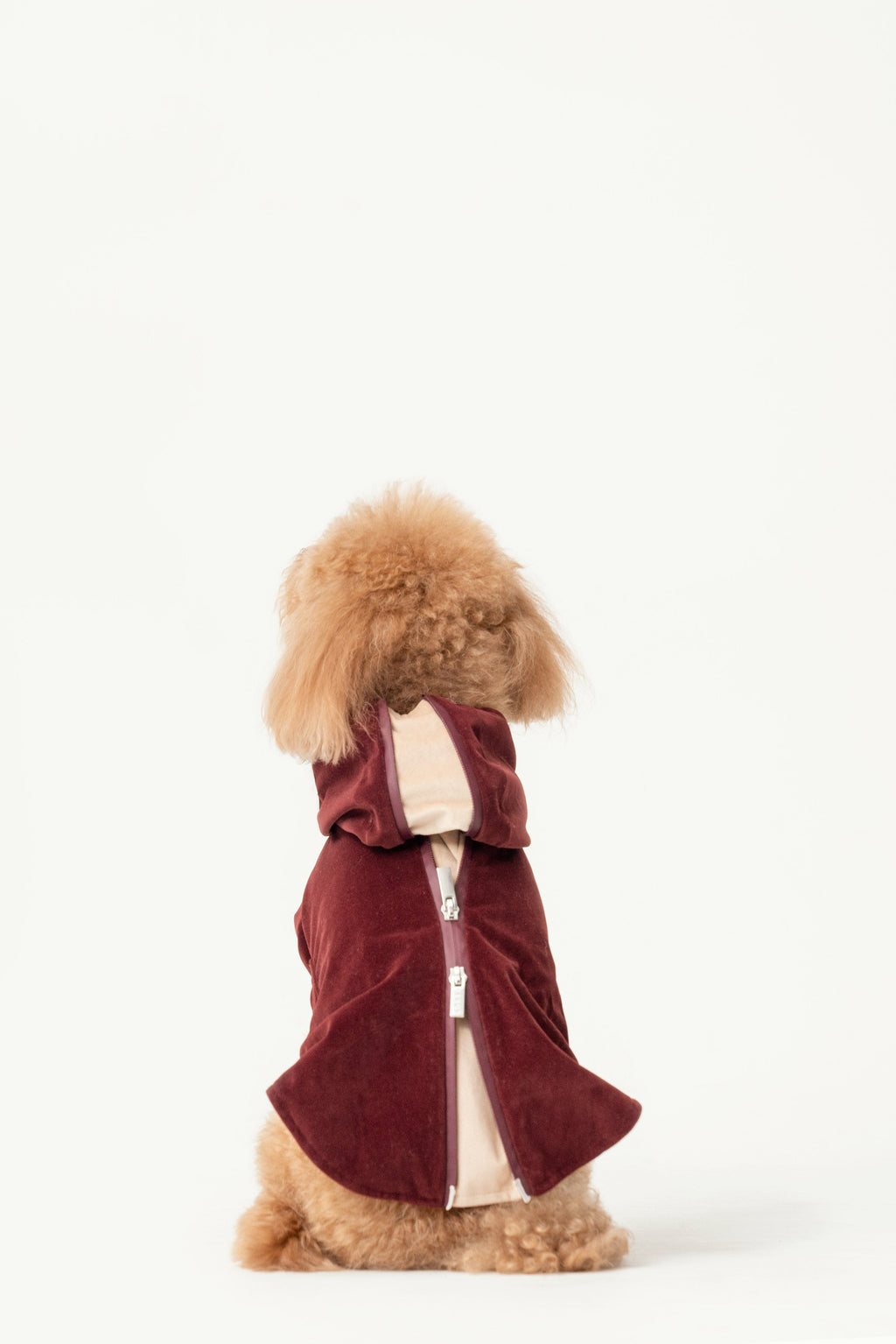 HUSTON HOODIE - DUNKELBORDEAUX