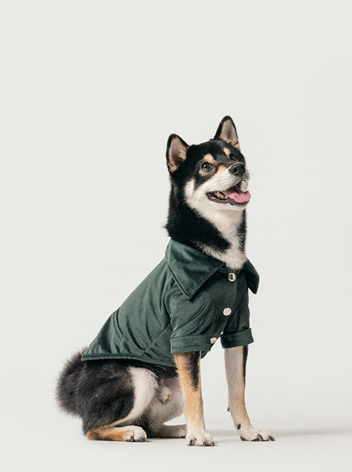CAMISA STAINWAY - VERDE