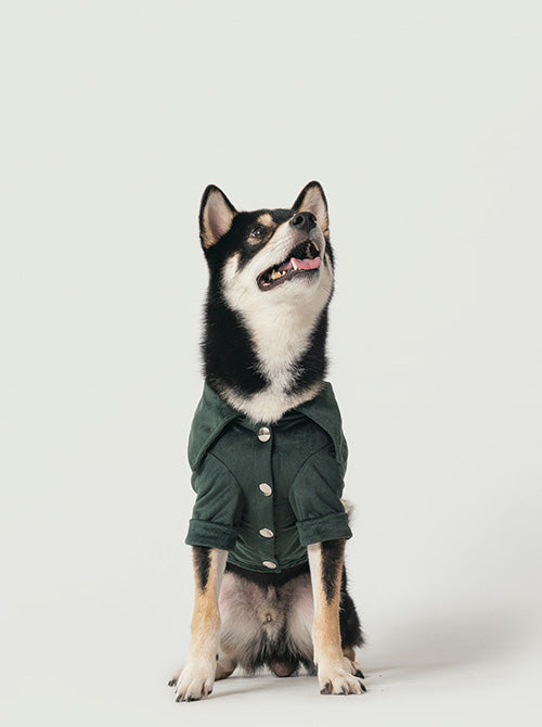 CAMISA STAINWAY - VERDE