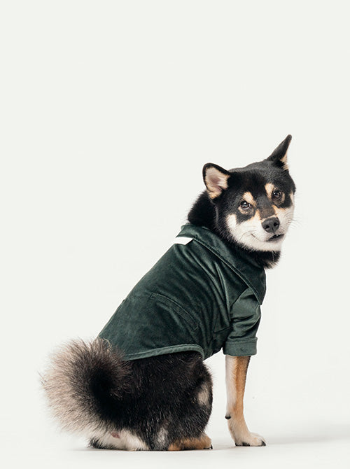 CAMISA STAINWAY - VERDE
