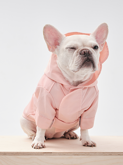 The Drizzle Diva — Adjustable Velcro Dog Raincoat in Blush Pink