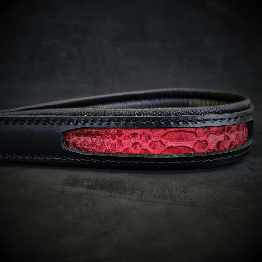 The ''Red Dragon'' Dog leash