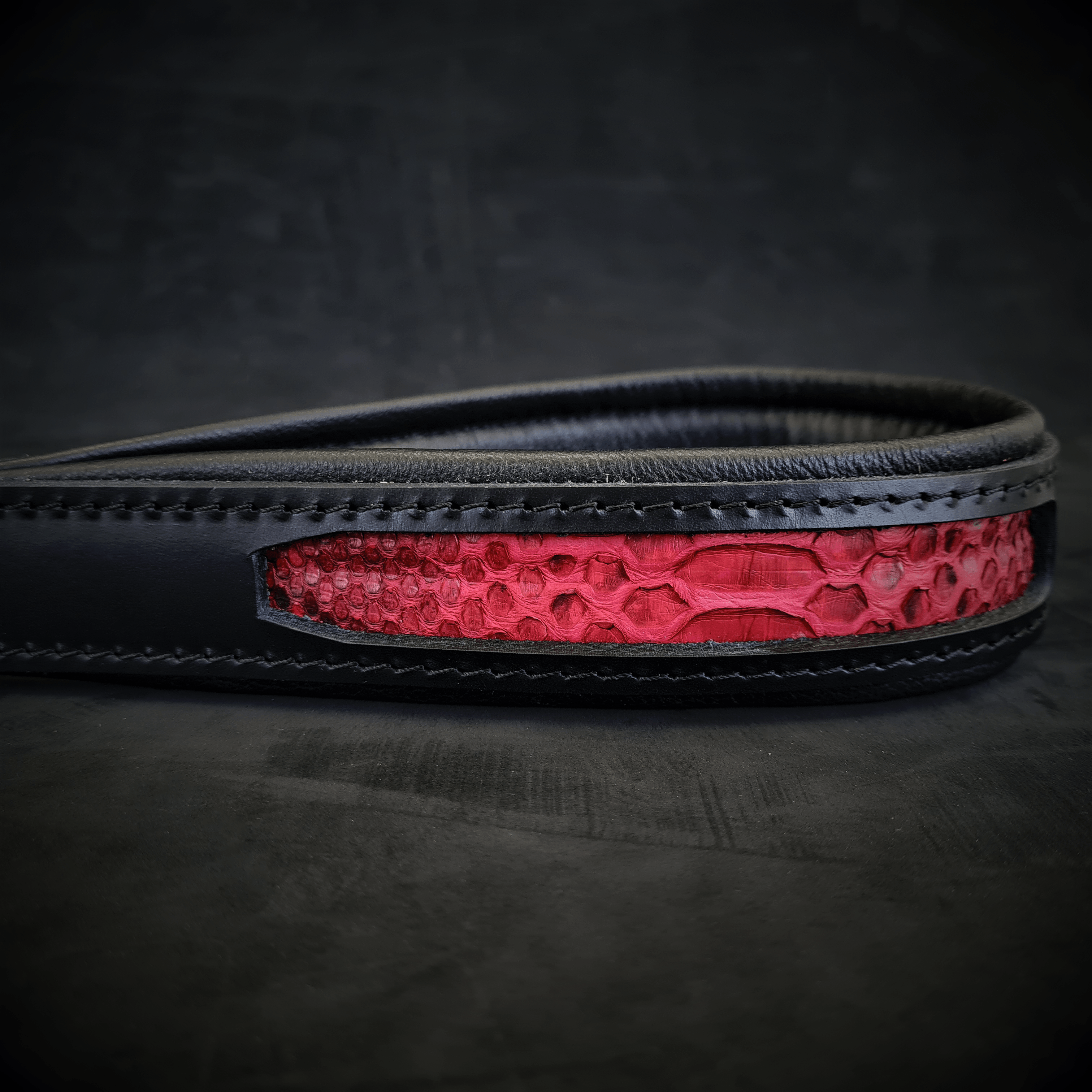 The ''Red Dragon'' Dog leash