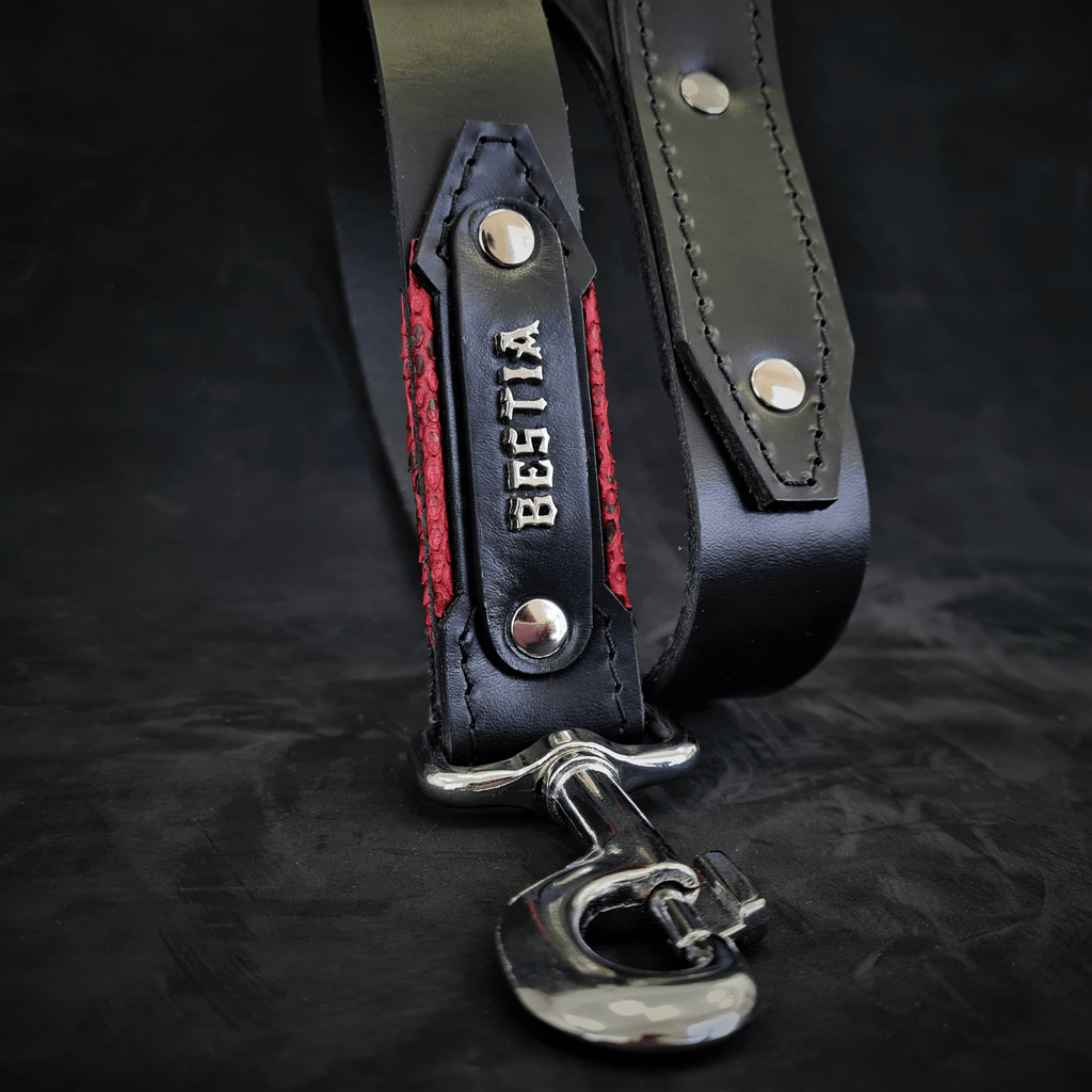 The ''Red Dragon'' Dog leash