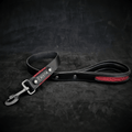 The ''Red Dragon'' Dog leash
