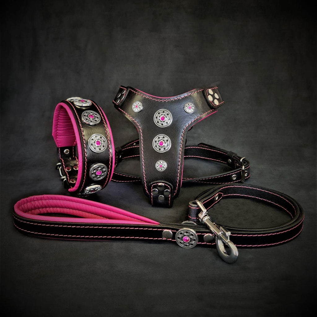 Das Set „Bijou“ – Halsband, Geschirr, Leine. Blau
