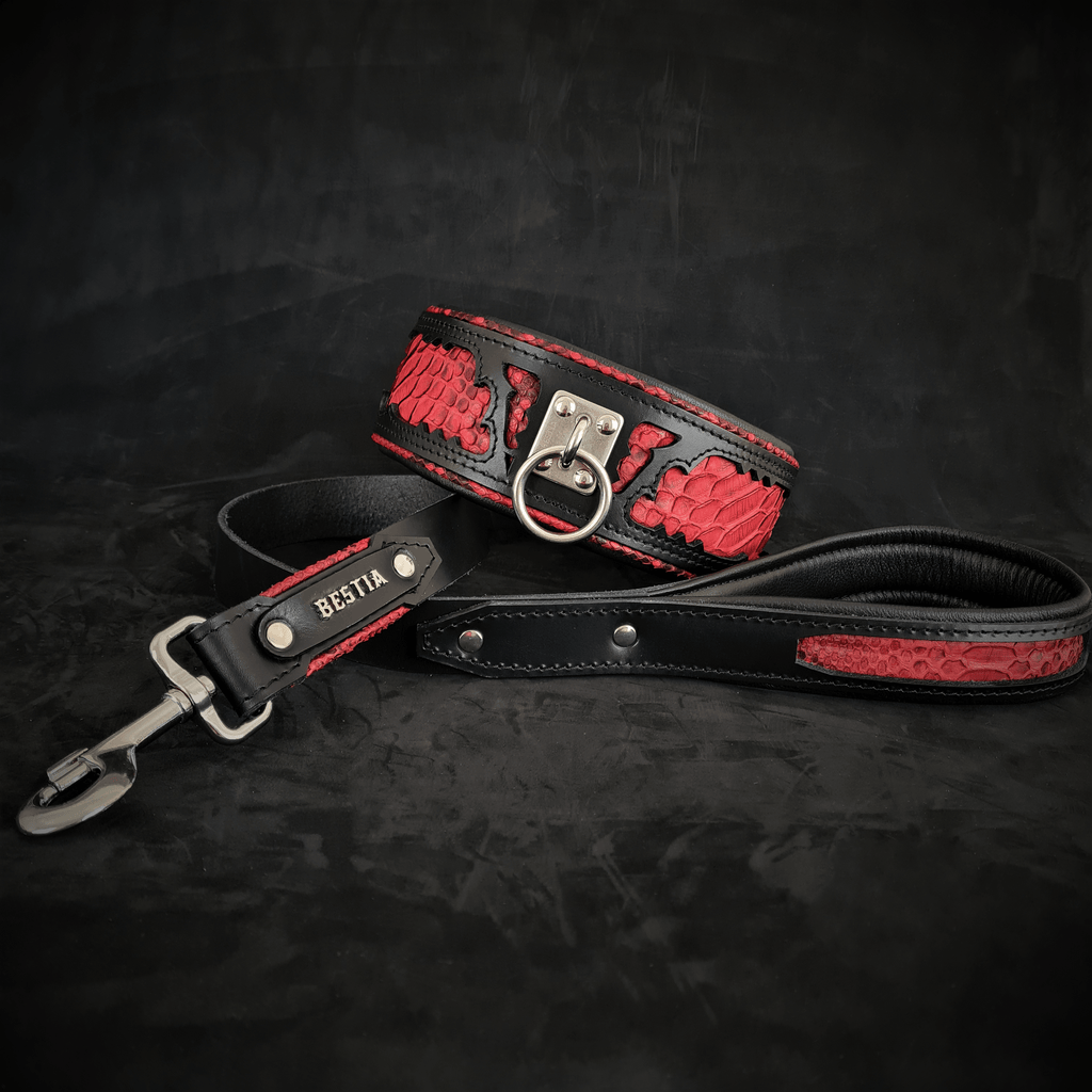 The ''Red Dragon'' Dog leash