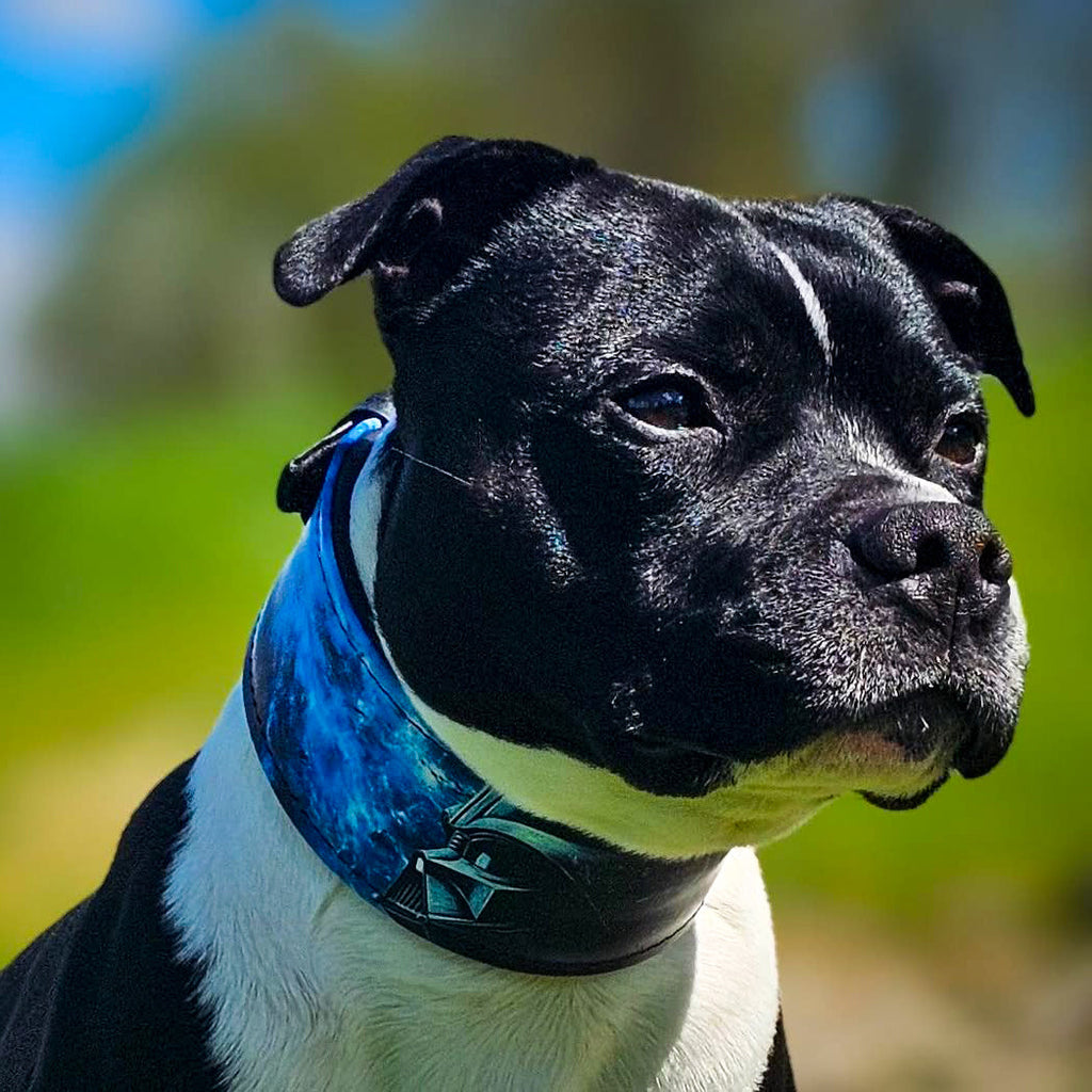 The Darth Force Limited Collar.