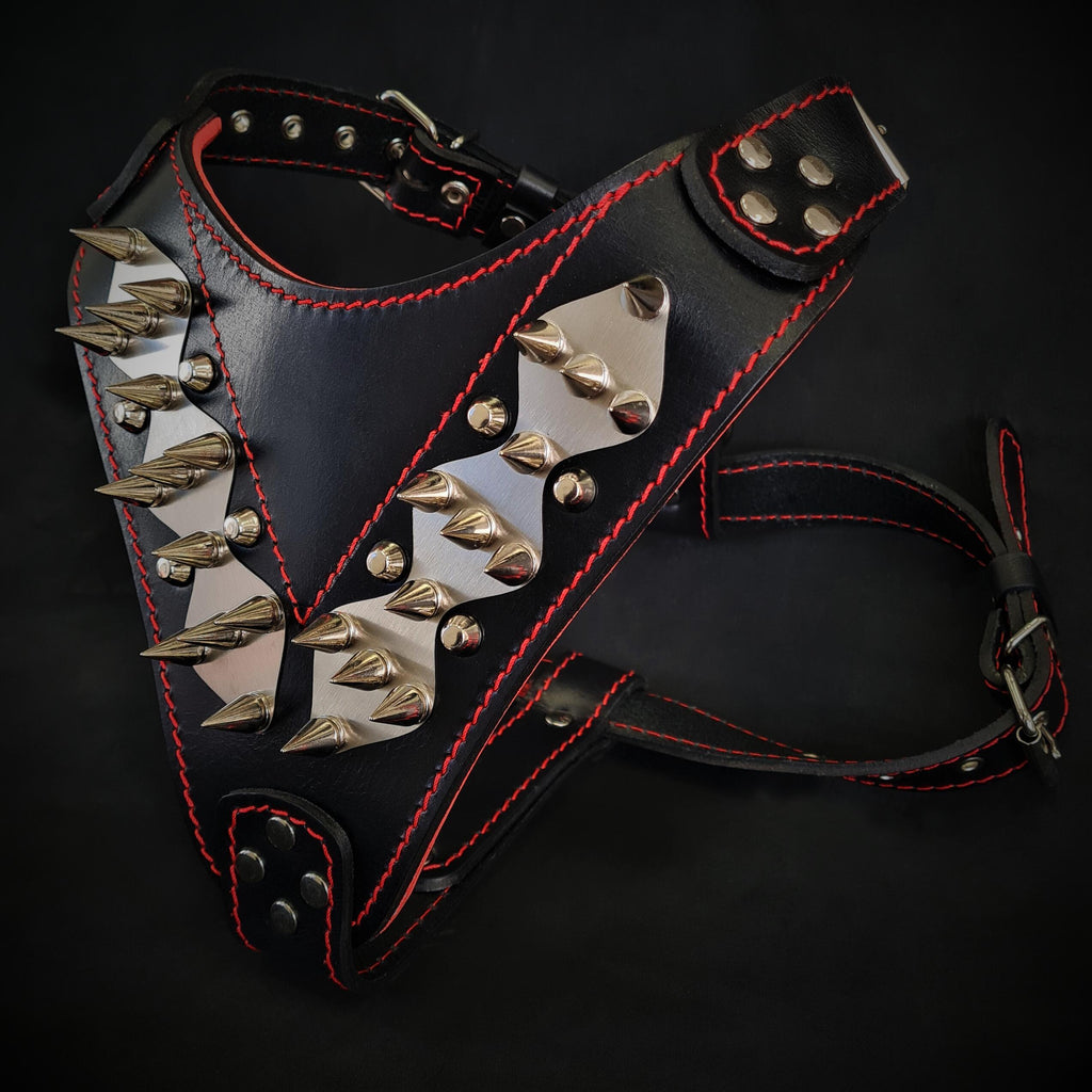 The "Steel" harness.