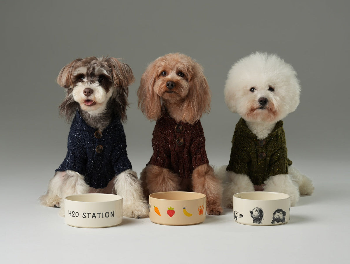 GLACIER PET SWEATER - BURGUNDY.