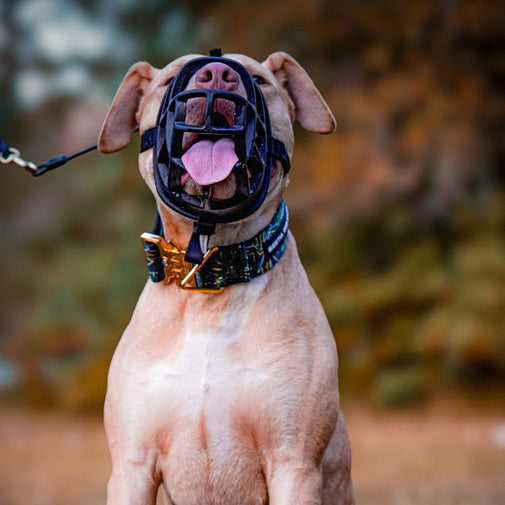 Bestia Hundesport GripPro Print Halsband - Gold