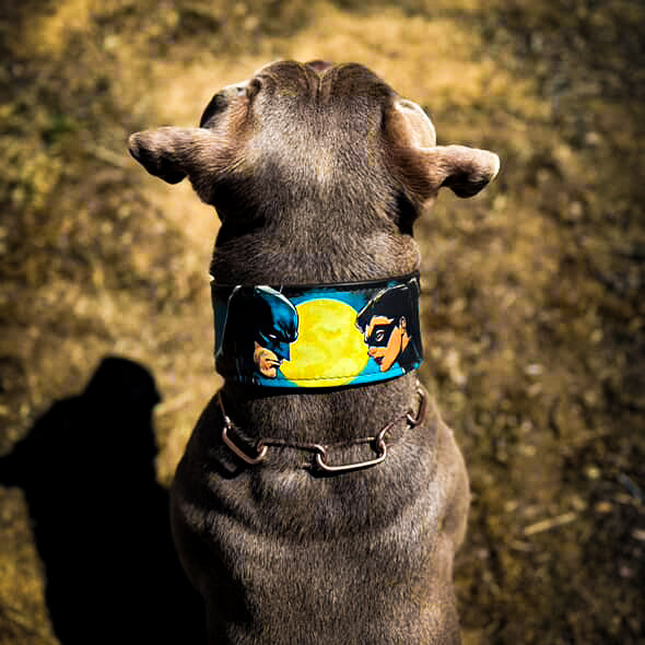 The BCW Limited Collar.