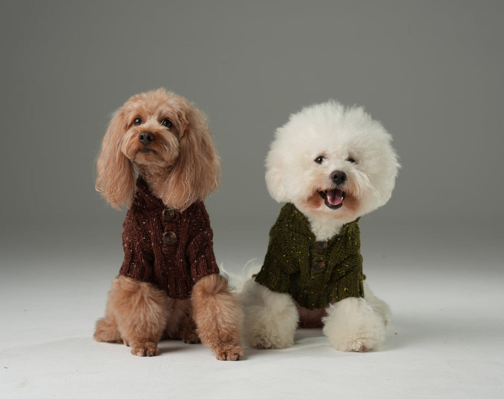 GLACIER PET SWEATER - BURGUNDY.
