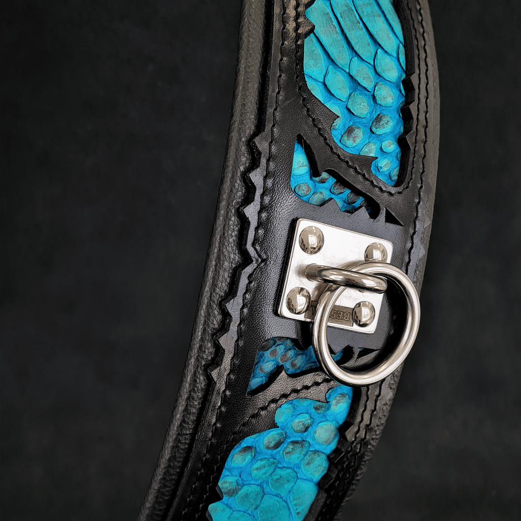 Das „Morelia Python“-Halsband
