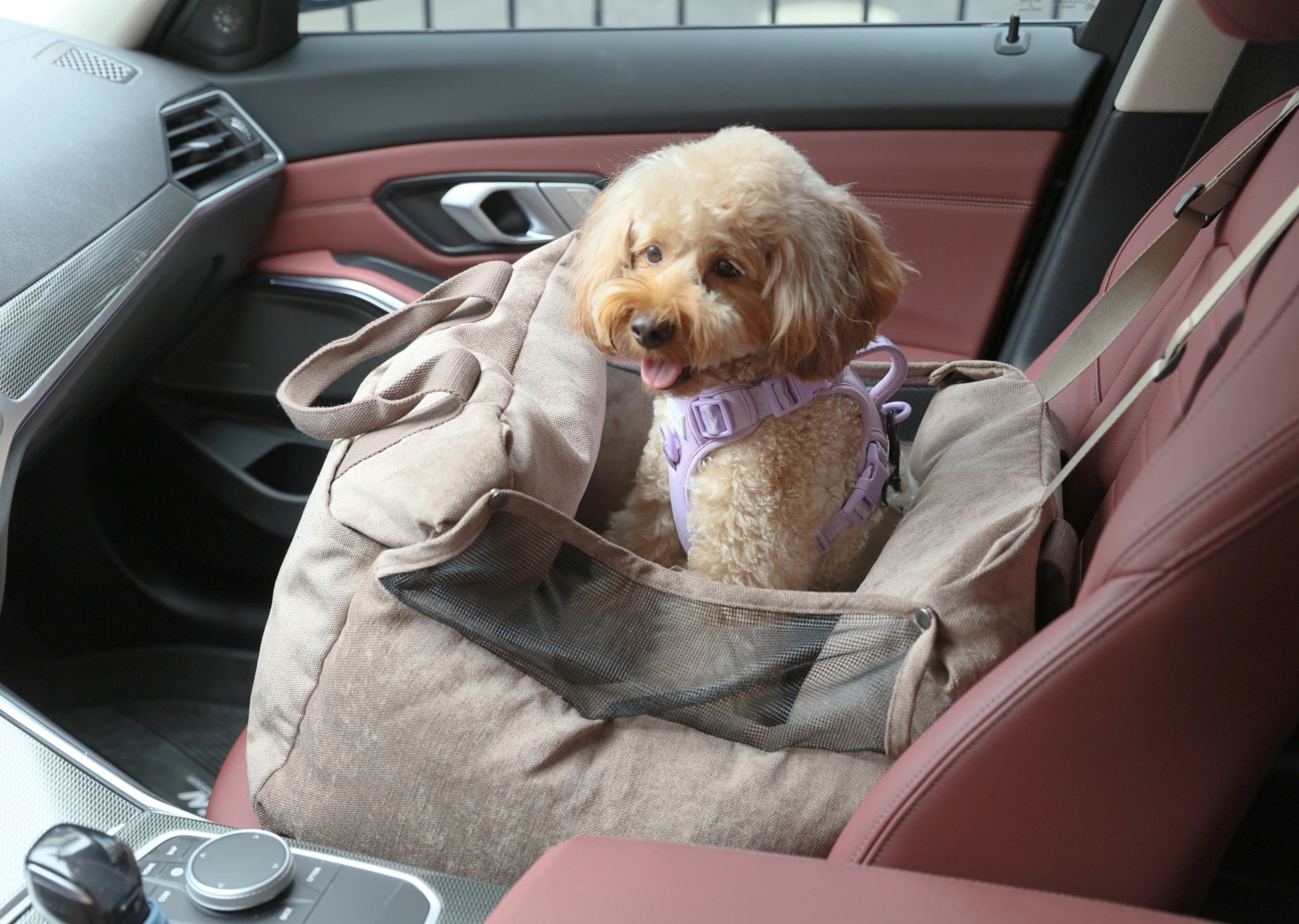 Asiento de seguridad para perro Puff Guard - Rosa