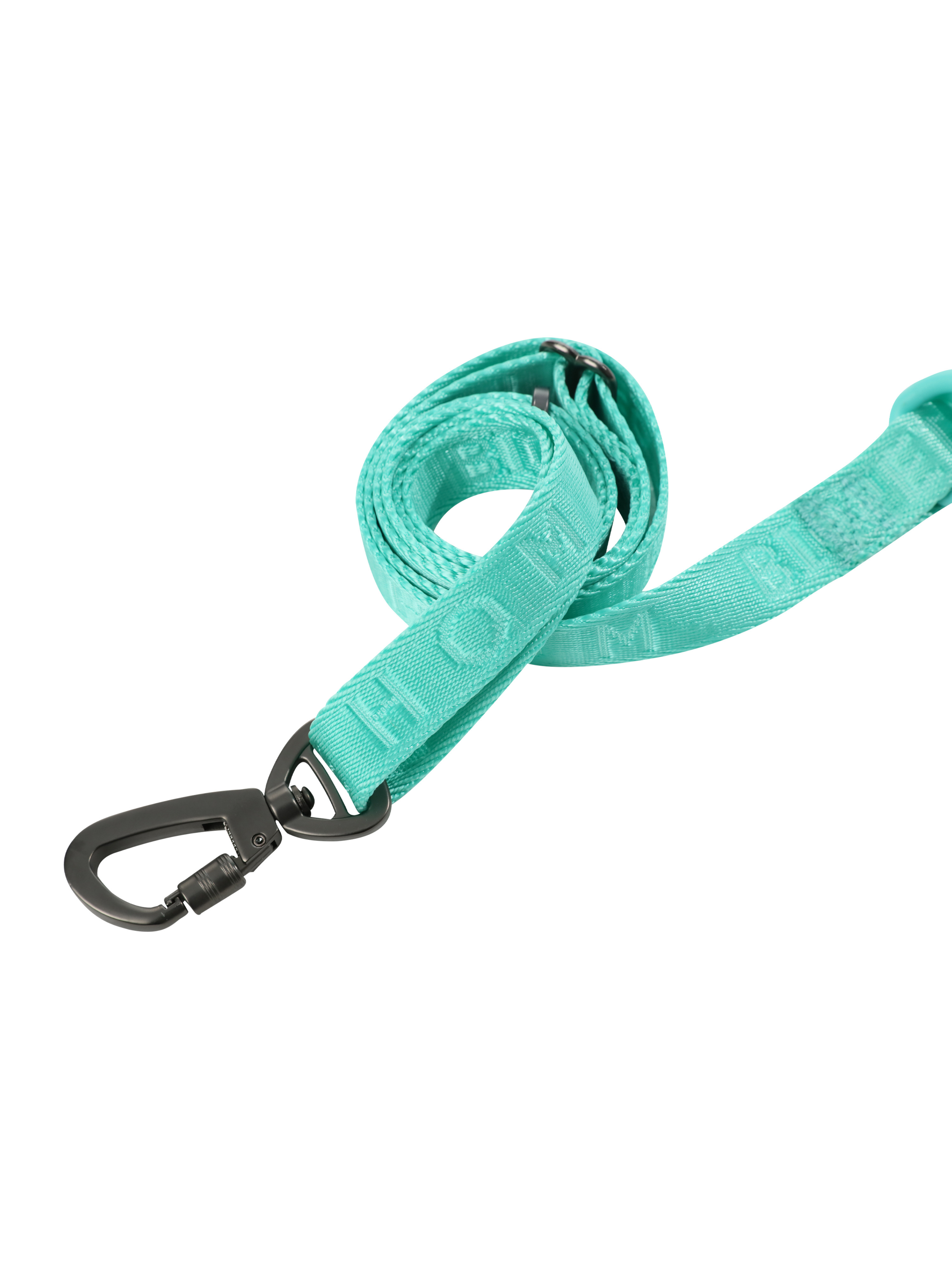 CORREA ACOLCHADA PARA MASCOTAS - VERDE MENTA