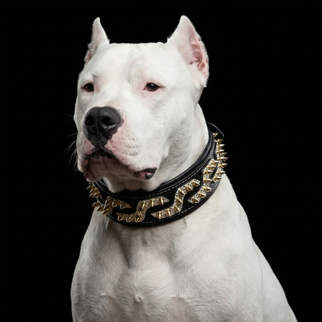 The ''Platinum'' collar