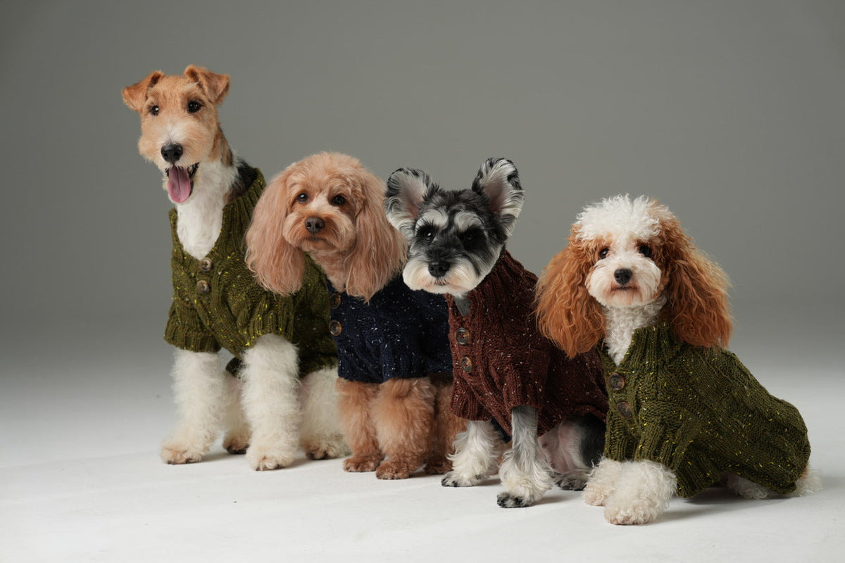 GLACIER PET SWEATER - BURGUNDY.
