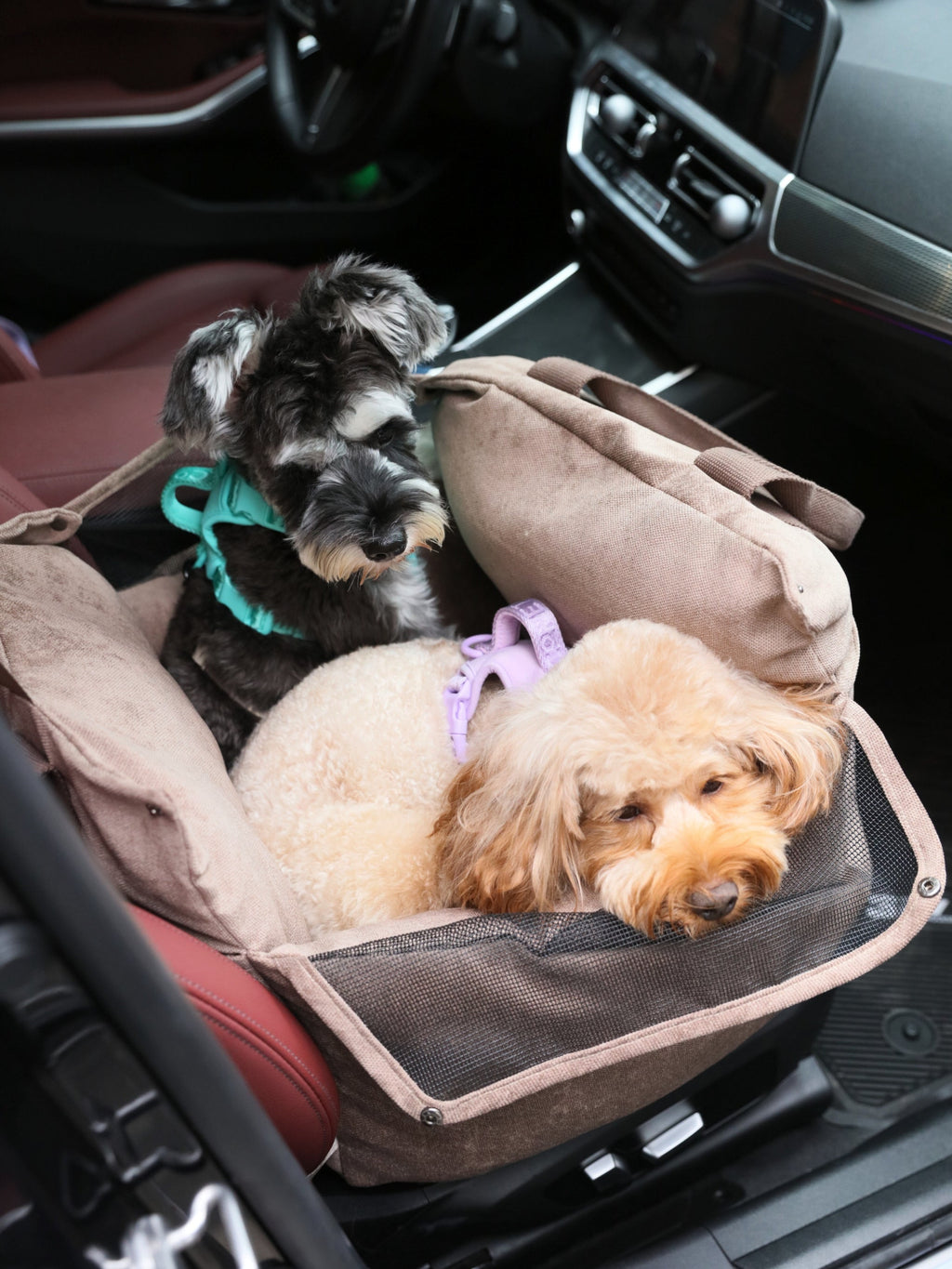 Puff Guard Hundeautositz - Camel