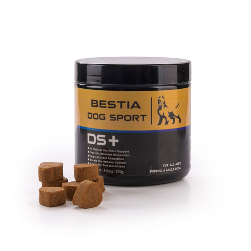 BDS DS+ Hundefutterergänzung