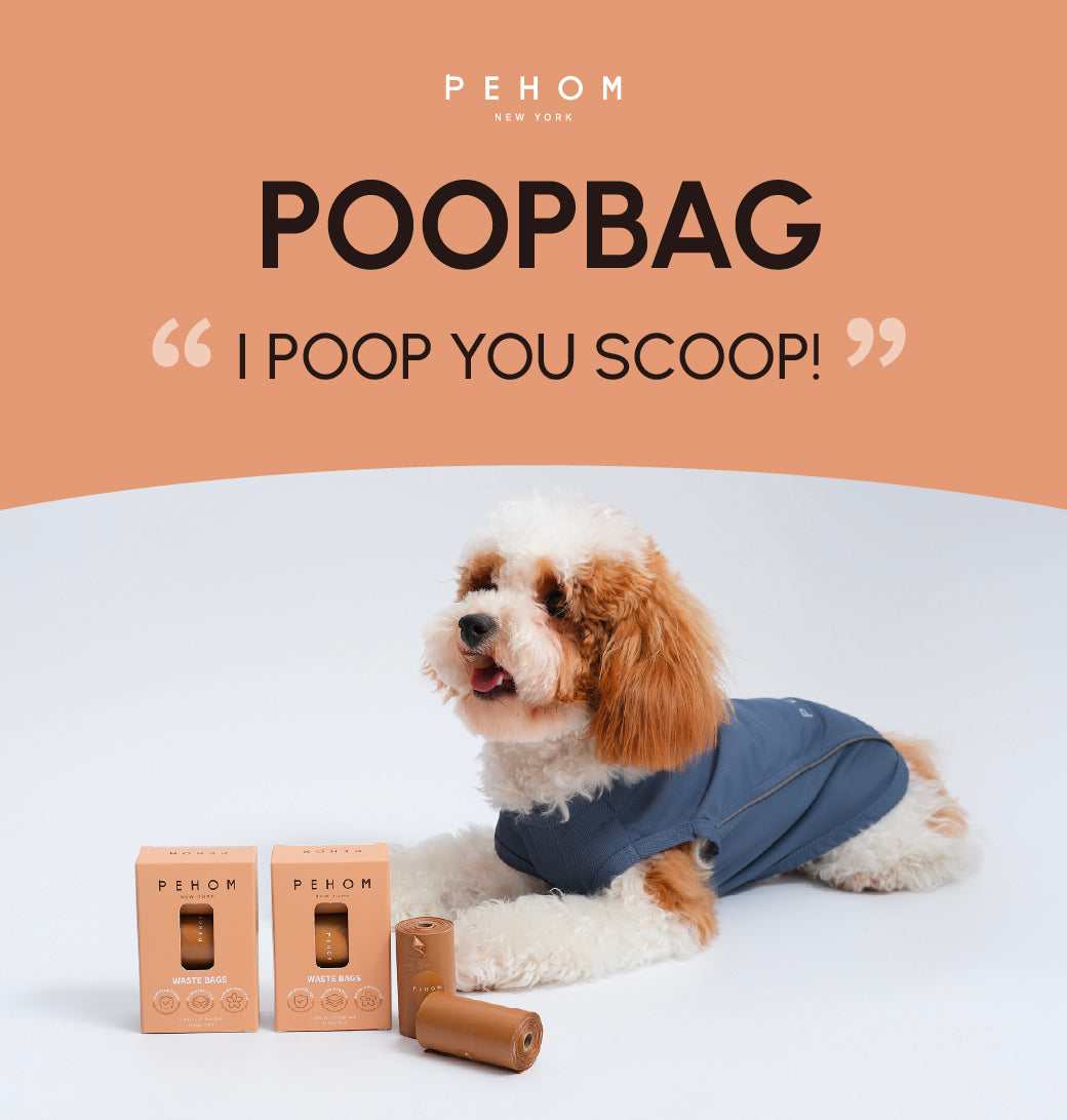 Poop Dispenser & Bags.