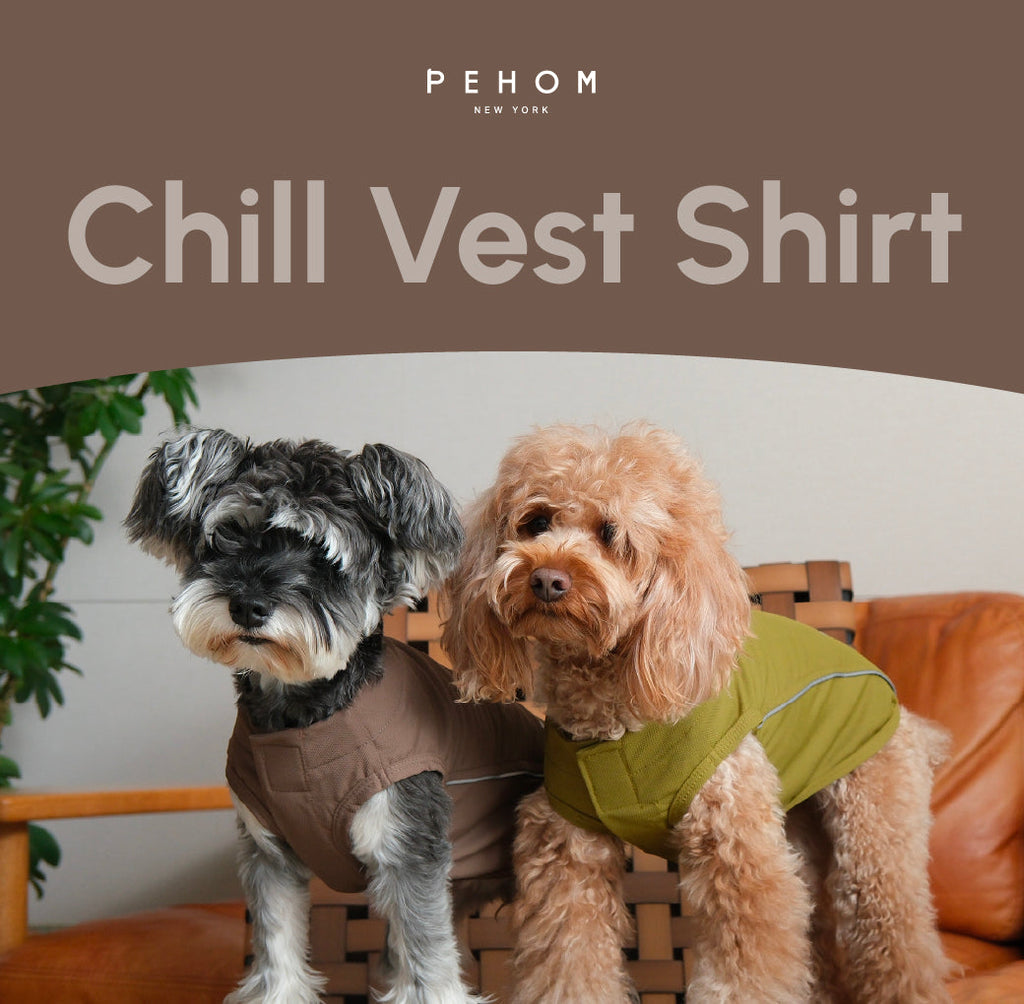 CHILL VEST SHIRT - BLUE.