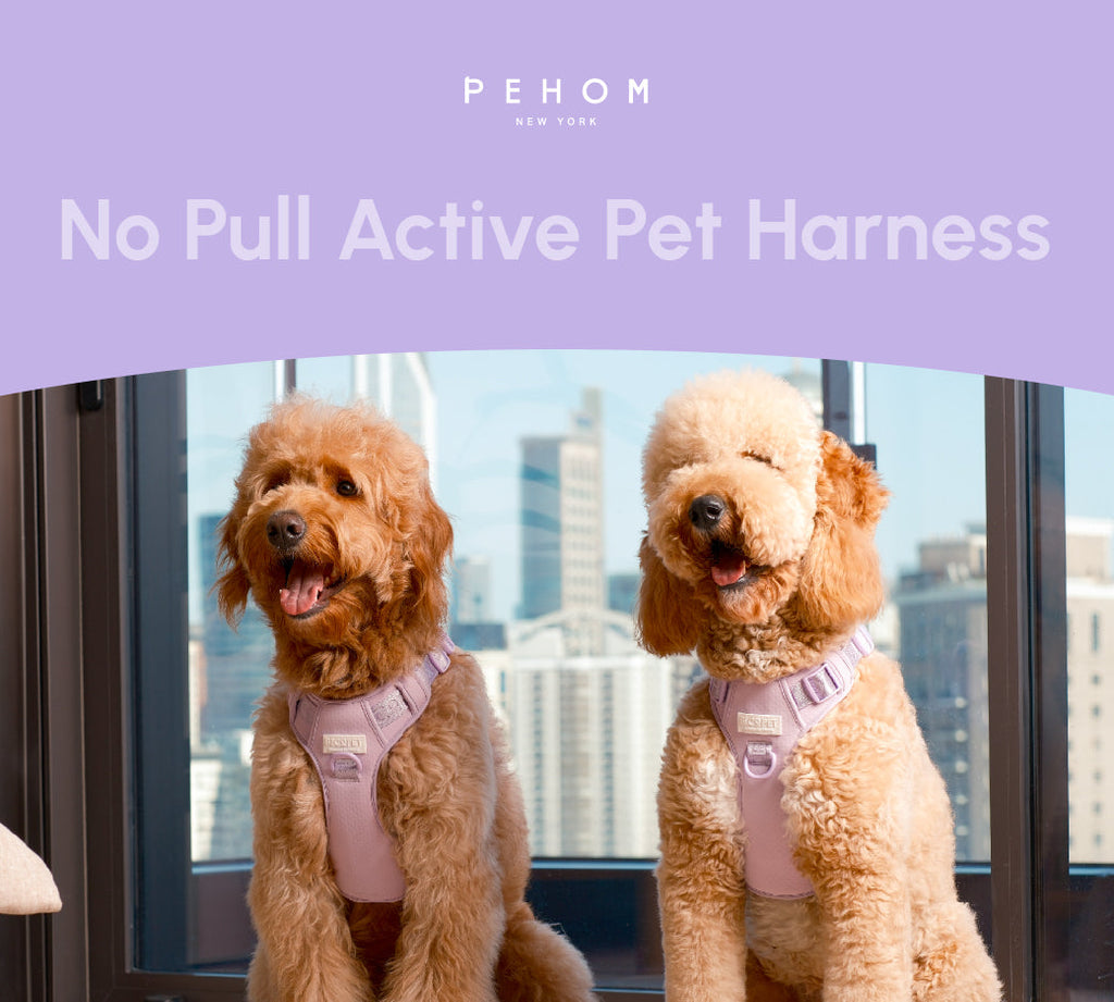 NO PULL ACTIVE  PET HARNESS - MINT PURPLE.