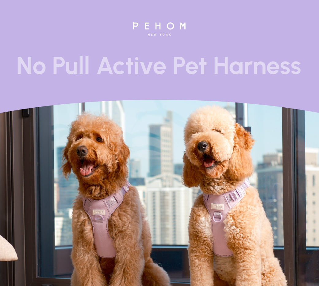 NO PULL ACTIVE  PET HARNESS - MINT PURPLE.