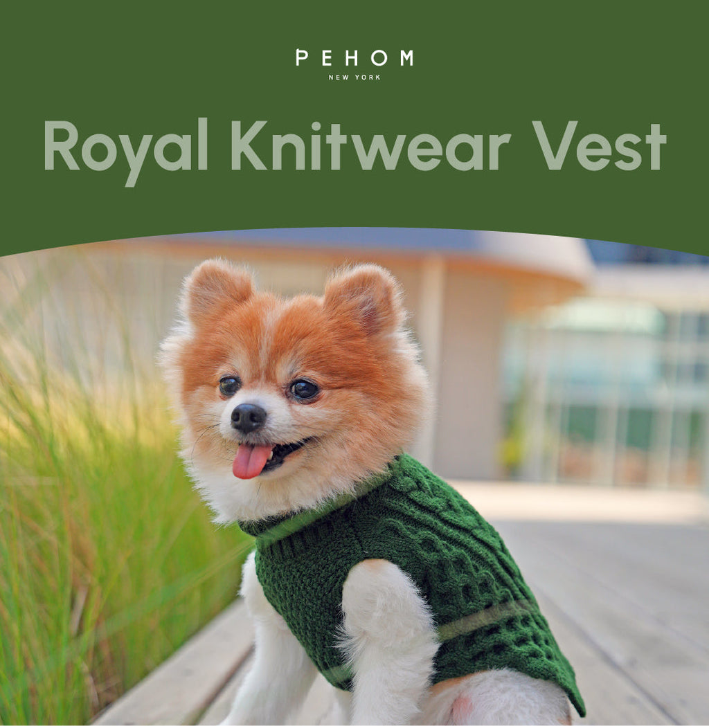 The Snuggler — Knit Dog Sweater Vest