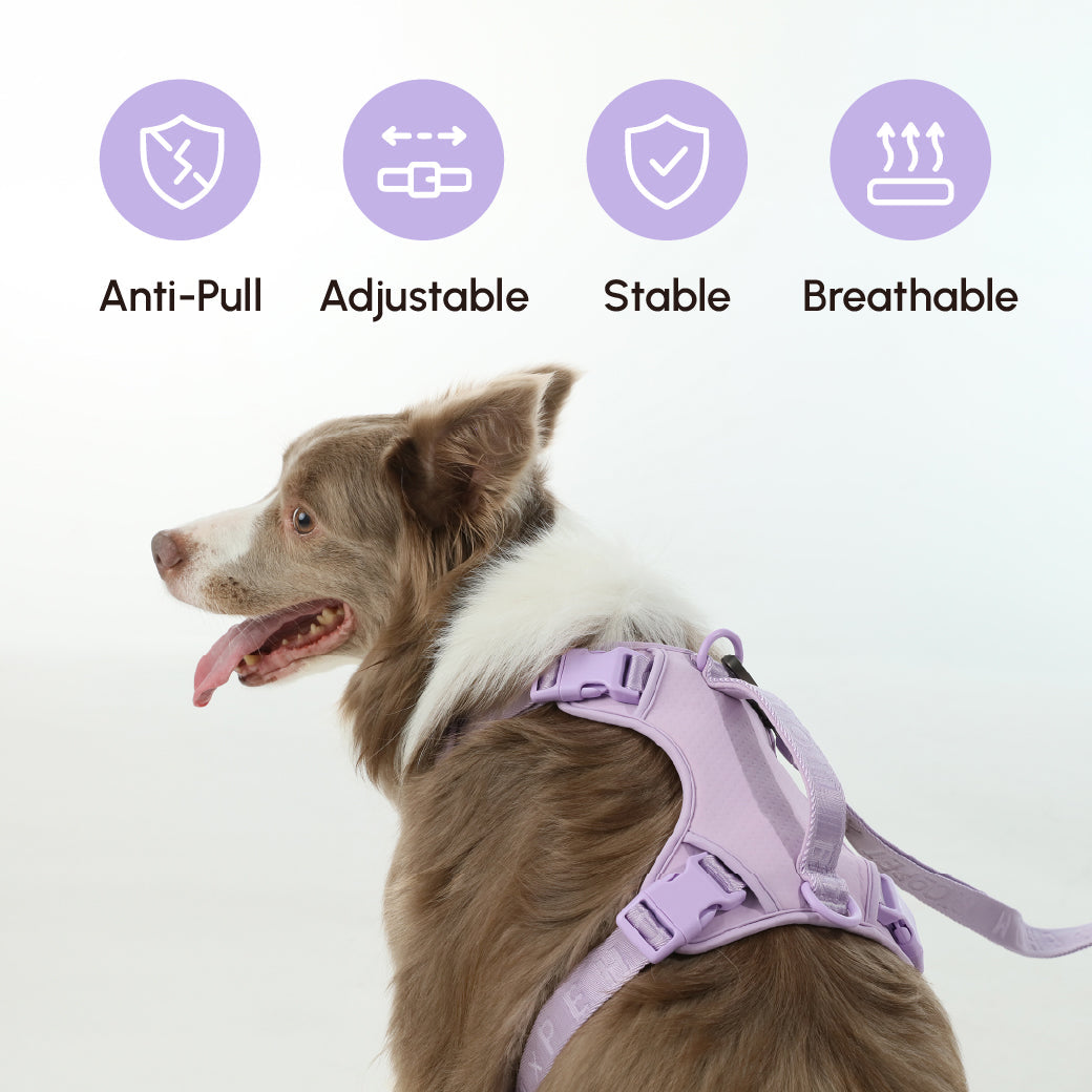 NO PULL ACTIVE  PET HARNESS - MINT PURPLE.
