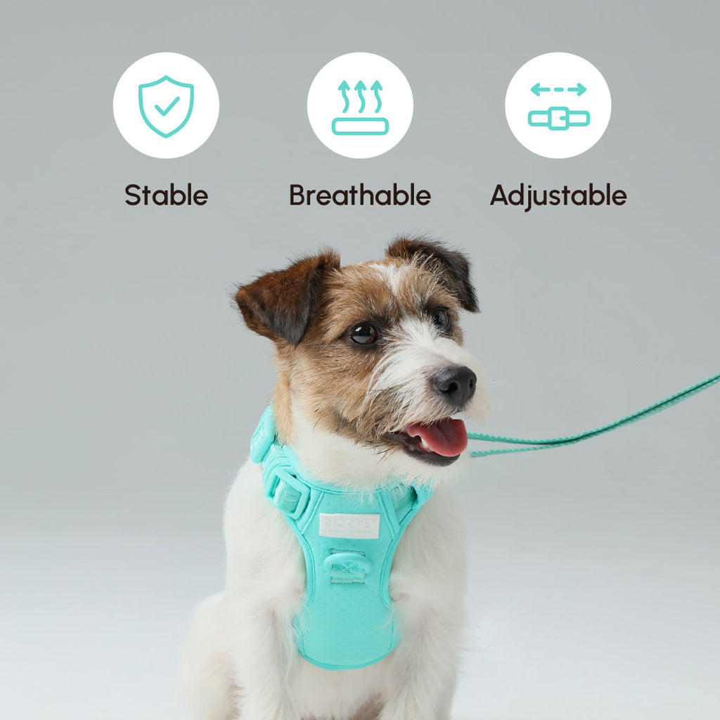 CORREA ACOLCHADA PARA MASCOTAS - VERDE MENTA