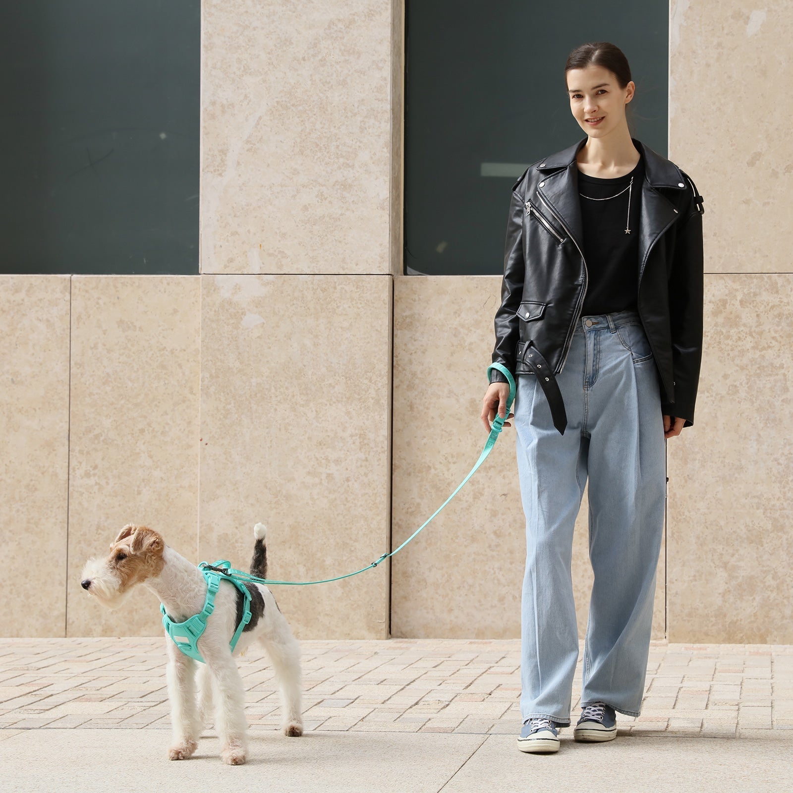 CORREA ACOLCHADA PARA MASCOTAS - VERDE MENTA