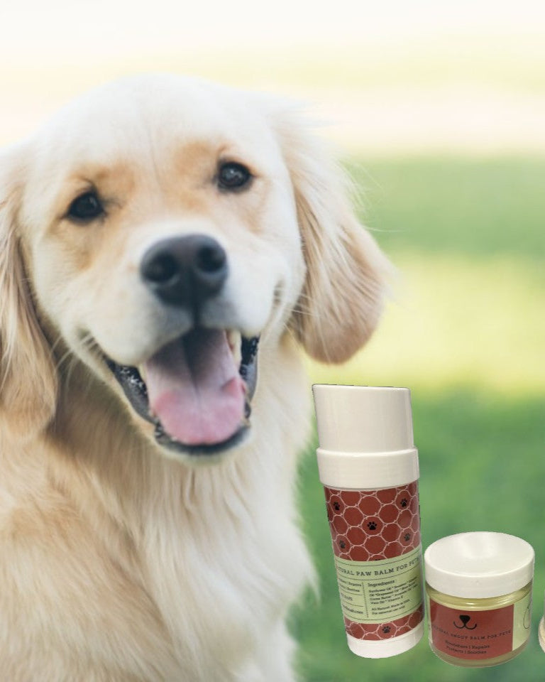 Geschenkbox für verwöhnte Haustiere – Rein natürliche Tier-Wellness-Box – Beruhigende Balsame & Kräuter-Fellpuder