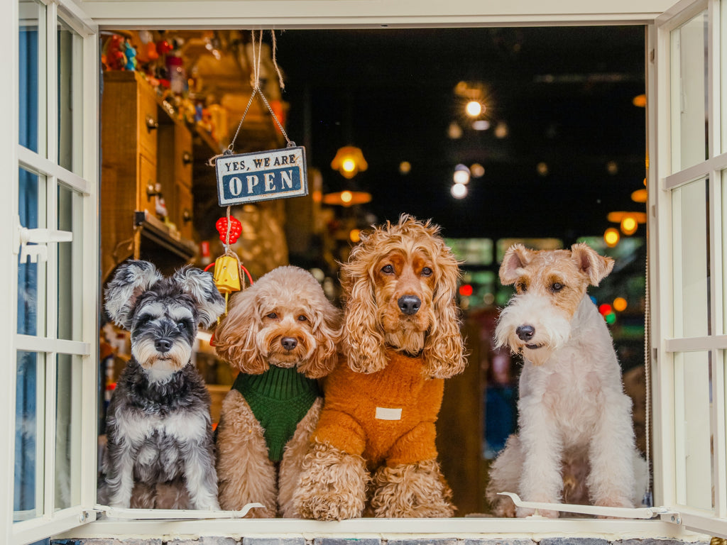 The Snuggler — Knit Dog Sweater Vest