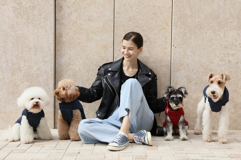 Wende-Hundeweste - Lila Karamell