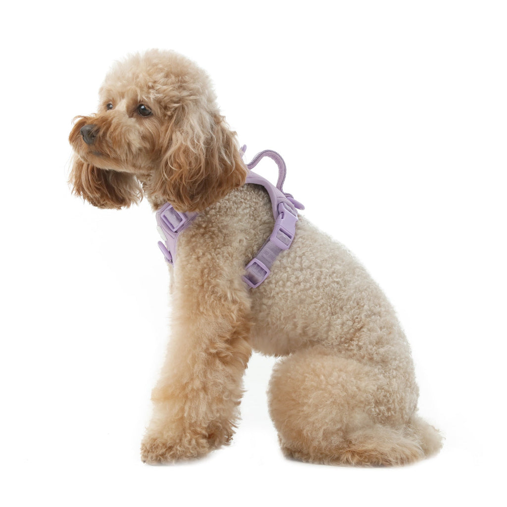 NO PULL ACTIVE  PET HARNESS - MINT PURPLE.