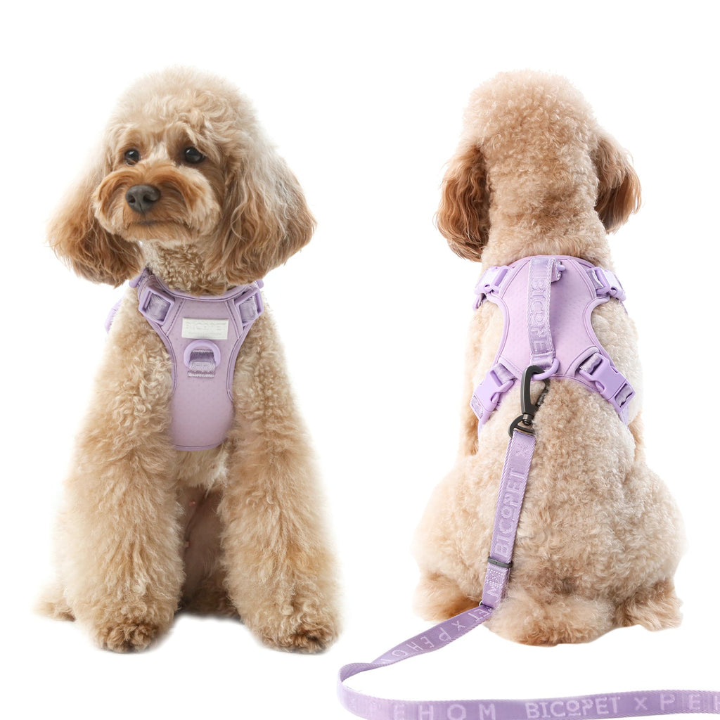 NO PULL ACTIVE  PET HARNESS - MINT PURPLE.